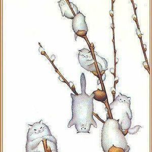 Meet your Posher, Lorraine